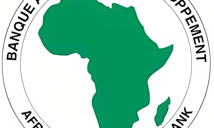 African Development Bank Group (AfDB)