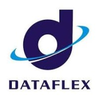 Dataflex Nigeria Limited