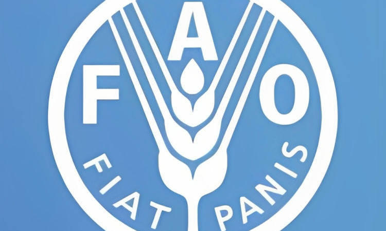 Food and Agriculture Organization Of the United Nations_FAO (1)