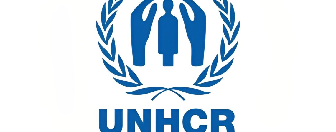 United Nations High Commissioner for Refugees (UNHCR)