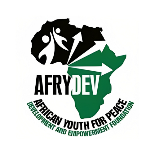 Finance Assistant (Intern) at African Youth for Peace Development and ...