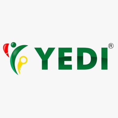 Youth Development and Empowerment Initiative (YEDI)