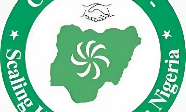 Civil Society Scaling-Up Nutrition in Nigeria (CS-SUNN)
