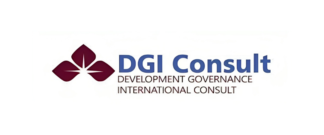 Development Governance International Foundation