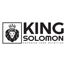 King Solomon Hospital logo