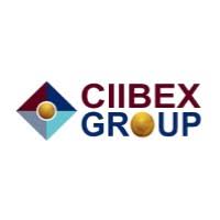 CIIBEX Group Limited