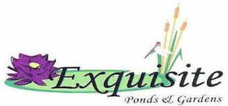 Exquisite Ponds