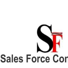 Reputable Group of Companies - Sales Force Consulting